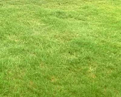 Putting Greens, Snellville, GA