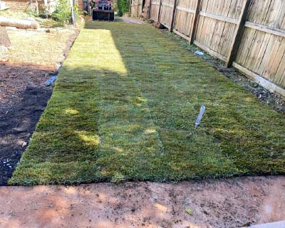 Artificial Turf, Buckhead, GA