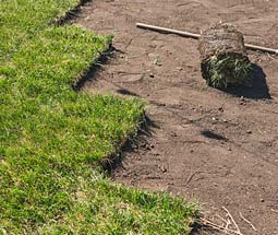 img_Artificial Turf